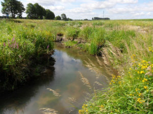 Wasserrechtliche Anträge